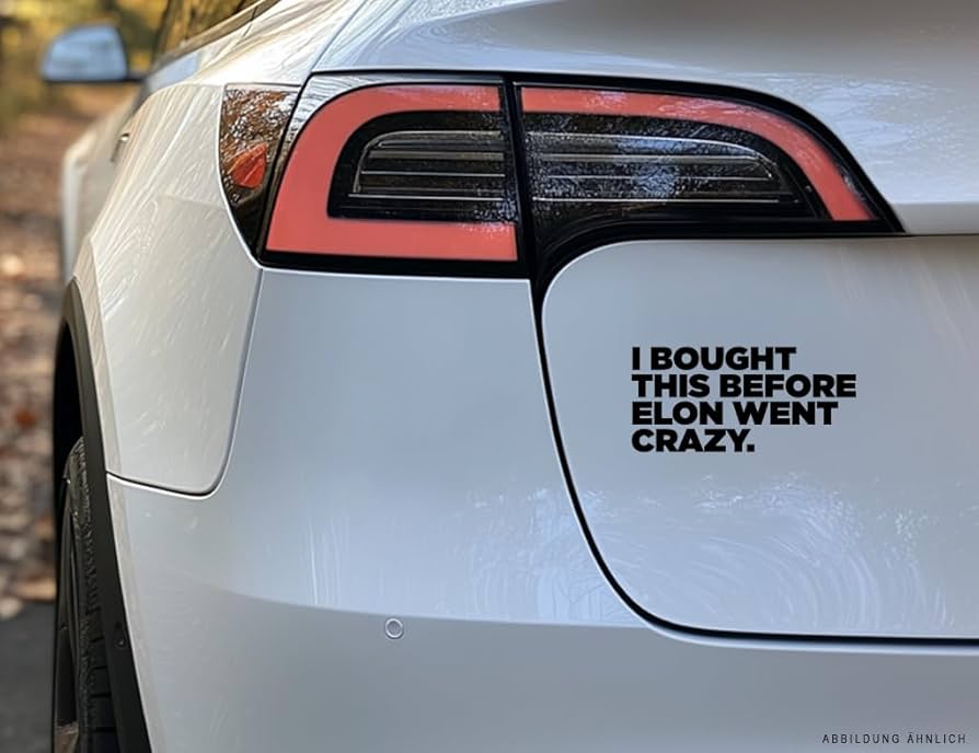 伊隆·馬斯克（Elon Musk）擔任美國效率部主管後對全球電動車產業的影響